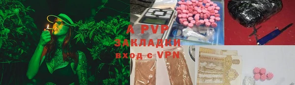 шишки Алзамай