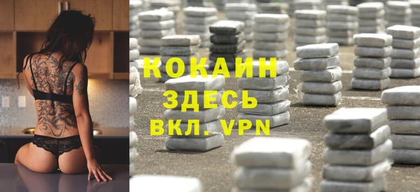 стаф Абинск